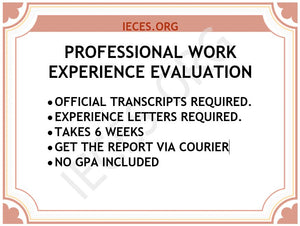 Professional Work Experience Evaluation